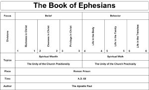 swartzentrover com book chart charts of the books of pauline epistles chart